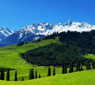 Qiaxi Forest Park.jpg Qiaxi Forest Park.jpg